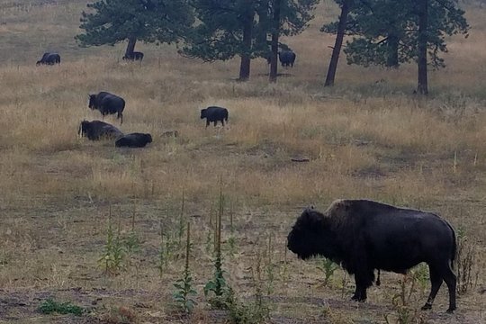 Tour image 11