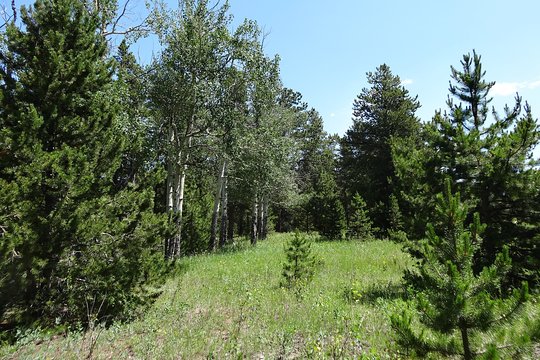 Tour image 5