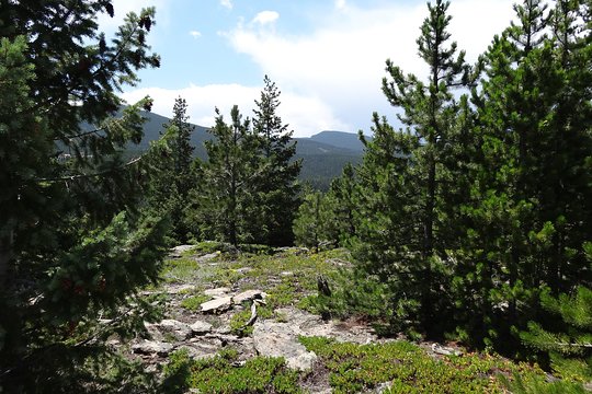 Tour image 10