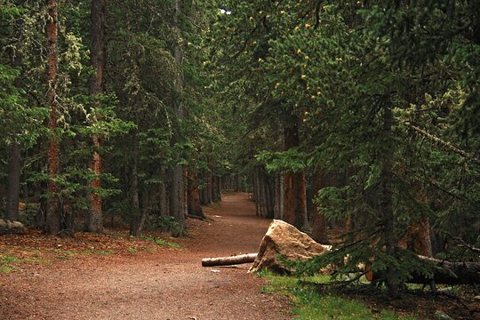 Tour image 5