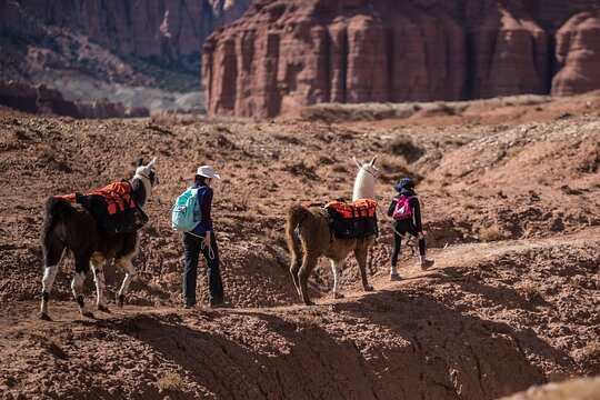 Tour image 5