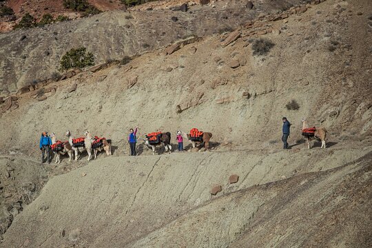 Tour image 7