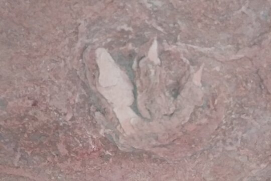 Tour image 6