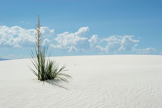Tour image 8