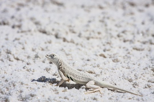 Tour image 10