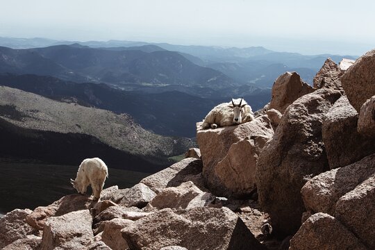 Tour image 7
